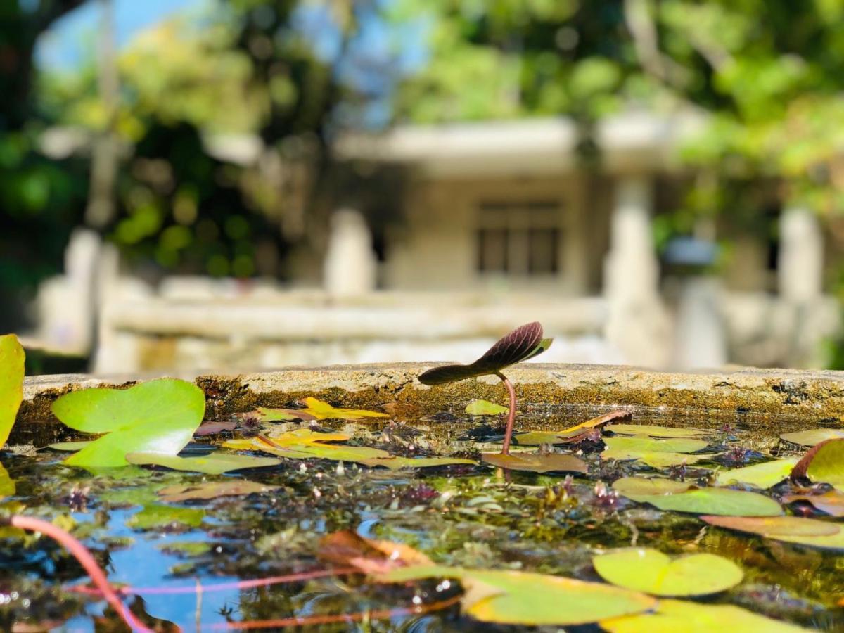 Paradise Garden Берувала Екстериор снимка