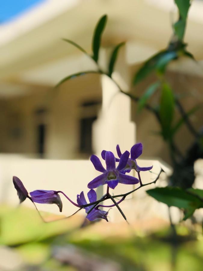 Paradise Garden Берувала Екстериор снимка