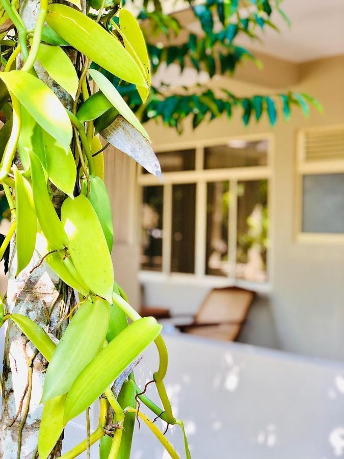 Paradise Garden Берувала Екстериор снимка